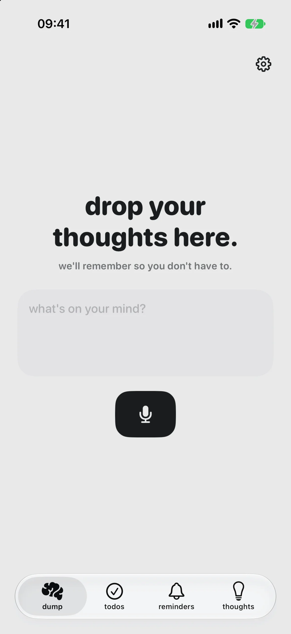 Braindump interface on iPhone